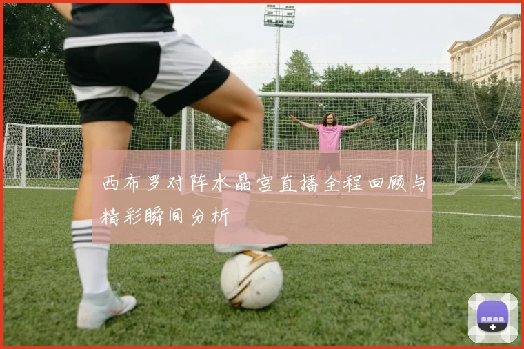 西布罗对阵水晶宫直播全程回顾与精彩瞬间分析