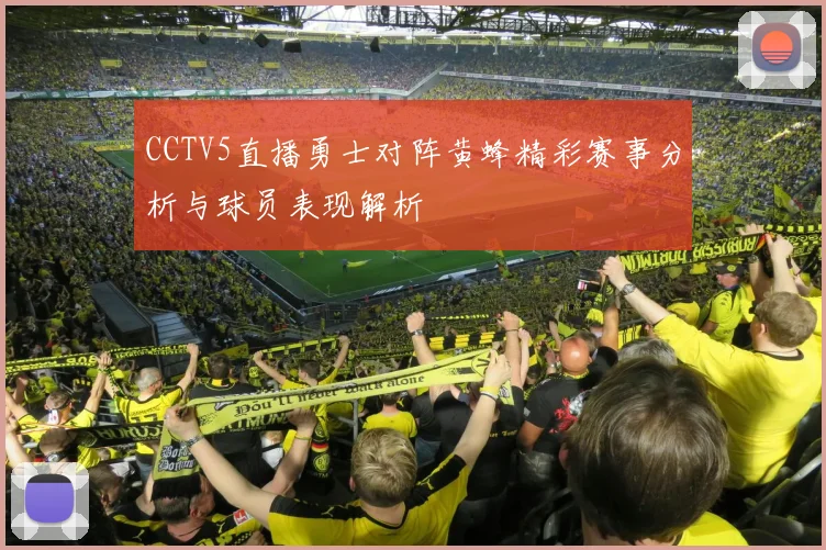 CCTV5直播勇士对阵黄蜂精彩赛事分析与球员表现解析