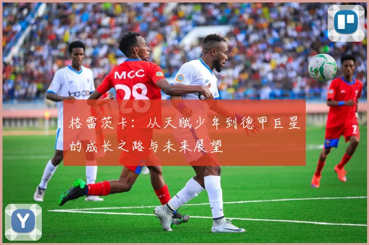 格雷茨卡：从天赋少年到德甲巨星的成长之路与未来展望