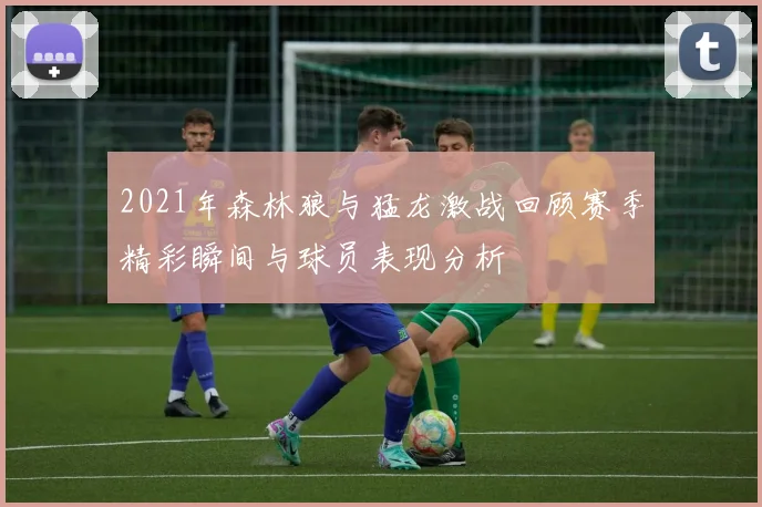 2021年森林狼与猛龙激战回顾赛季精彩瞬间与球员表现分析