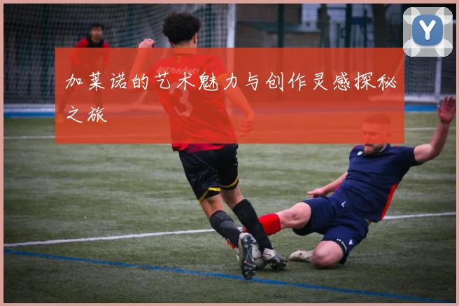 加莱诺的艺术魅力与创作灵感探秘之旅