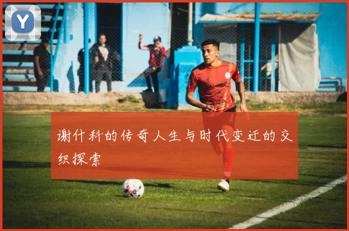 谢什科的传奇人生与时代变迁的交织探索